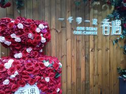 -香遇沙龙香水·调香·团建