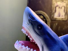 -大连圣亚海洋世界