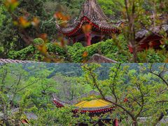 -华清宫景区
