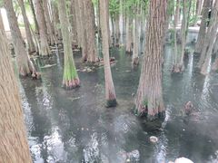 -东湖落雁景区