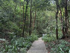 -广州市帽峰山景区