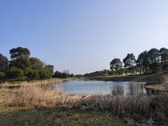 -漕湖湿地公园