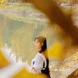 秋日金色童话☀️邂逅午后阳光宝藏银杏园