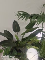 -HEYAN荷妍专业脱毛连锁机构