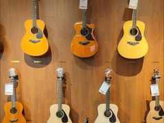 -知音艺术教育培训·钢琴培训·音乐培训(河西金鹰世界校区)