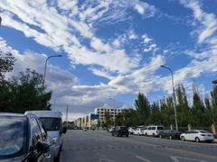 -老钟家烤羊排·敦伊阁清真餐厅胡羊焖饼