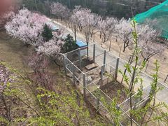-青藏高原野生动物园