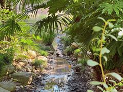 -苏州河梦清园环保主题公园