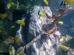 -太平洋海底世界