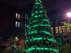 -上海德威外籍人员子女学校(浦西校区)