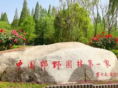 -习家池