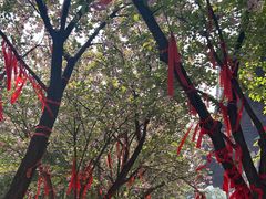 -西安青龙寺遗址景区