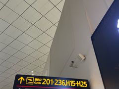 -郑州新郑国际机场-T2航站楼