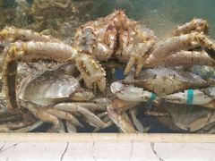 -海景壹号大酒店(滨湖店)