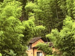 -杨家堂村
