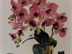 -楚禾宴·家宴(光谷大道店)