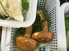 -易门野生菌府·菌海森林(月牙潭公园店)
