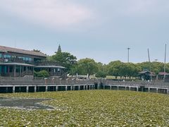 -苏州太湖湖滨国家湿地公园