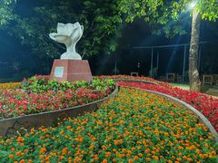 -金鸡山公园