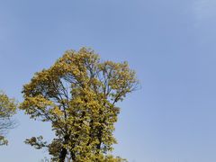 -洋湖国家湿地公园