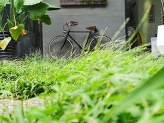 -猫里有甜