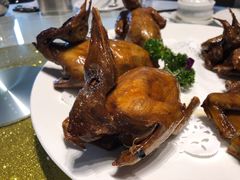 红烧乳鸽-光明招待所(邦凯科技园店)