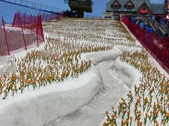 -广州热雪奇迹