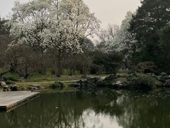 -杭州植物园