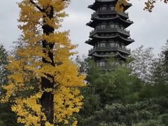 -秋霞圃