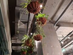 -Wagas沃歌斯(五道口购物中心店)