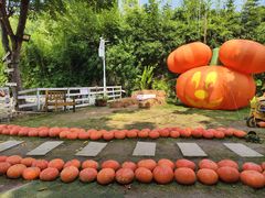 -HERRE·FARM 赫尔露营农场·团建聚会包场