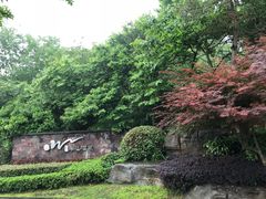 -天目湖涵田半山温泉