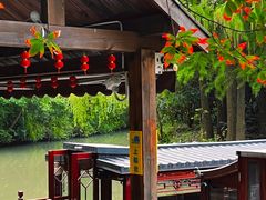 -同里国家湿地公园