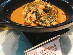 有机鱼头-春盛渔府(牛首山店)