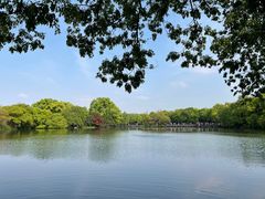 -西湖游船