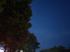 -上海滨江森林公园