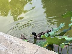 -潇湘甲鱼村(清河店)