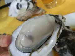 -蚝专家(北滘店)