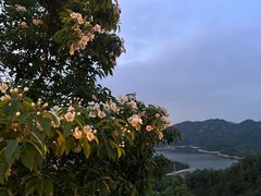 -香山湖公园