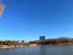 -大兴滨河森林公园