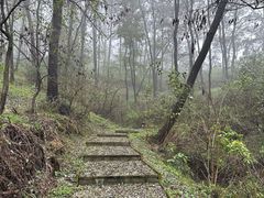 -青州仰天山