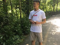-西双版纳原始森林公园