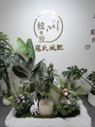 -寇氏减肥