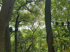 -狼山风景名胜区