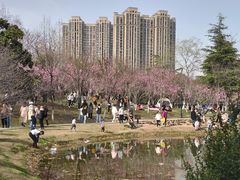 -堤角公园