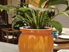 -二分八云雁阁•新晋菜大同味(长治路店)