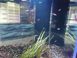 -酷嗒动物文化乐园(cutezoo西溪乐天城店)