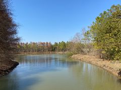 -上海海湾国家森林公园