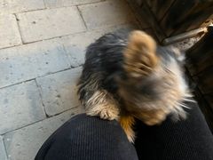 -浔岚云舍mist静谧观景美宿(丽江古城店)