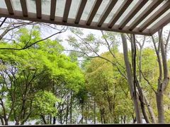 -逸林轩中餐厅(中信泰富朱家角锦江酒店)